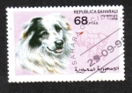 Sellos de Africa - Marruecos -  Perros