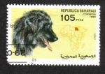 Stamps Morocco -  Perros