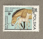 Stamps Poland -  Caballo Przewalslskii