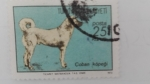 Stamps Turkey -  Perro