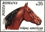 Stamps Romania -  Caballos 1970