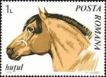 Stamps : Europe : Romania :  Caballos 1970