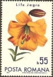 Stamps Romania -  Flores del jardín botánico