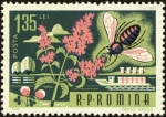 Stamps Romania -  Abeja de la miel (Apis mellifica)
