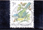 Sellos de Europa - Blgica -  AVE
