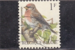 Stamps Belgium -  AVE