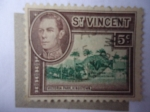 Stamps : America : Saint_Vincent_and_the_Grenadines :  Victoria Park, Kingstown. King George VI.
