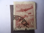 Stamps Argentina -  Avión volando sobre las Cataratas del Iguazú