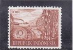 Stamps Indonesia -  CAÑA DE AZUCAR 