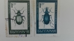 Sellos de Europa - Rusia -  Insectos