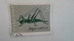 Stamps Russia -  Insectos