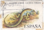 Stamps Spain -  LAGARTO VERDE (35)
