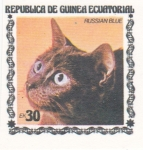 Stamps : Africa : Equatorial_Guinea :  GATO RUSSIAN BLUE 