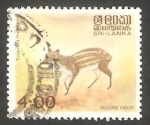 Stamps Sri Lanka -  562 C - Animal tragulus meminna