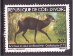 Stamps : Africa : Ivory_Coast :  Animales vias de extinción