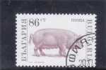 Stamps Bulgaria -  CERDA