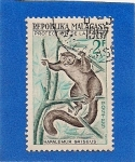 Stamps Madagascar -  proteccion de la fauna