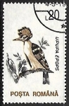 Stamps Romania -  Eurasian Hoopoe