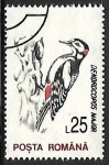 Stamps Romania -  Dendrocopos major