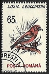 Stamps Romania -  Loxia leucoptera