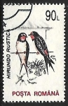 Stamps Romania -  Hirundo rustica