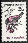 Stamps Romania -  Sturnus roseus