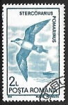 Stamps : Europe : Romania :  Stercorarius pomarinus