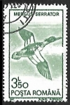 Stamps Romania -  Mergus serrator