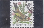 Stamps Belgium -  AVE- 