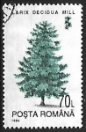 Stamps Romania -  Larix decidua