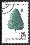 Stamps Romania -  (Fagus sylvatica