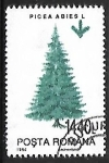 Stamps Romania -  Picea abies