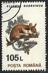 Stamps Romania -  Eliomys quercinus