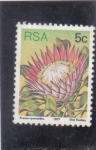 Stamps South Africa -  FLORES-