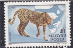 Stamps Hungary -  GEPARDO Y MAPA 