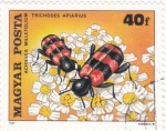 Stamps Hungary -  ESCARABAJO 