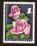 Stamps : Europe : Hungary :  Flores - Rosas