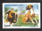 Sellos de Europa - Rumania -  Perros