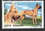 Stamps Romania -  Perros