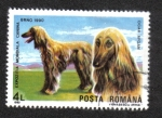 Stamps Romania -  Perros