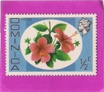 Stamps Dominica -  Plantas