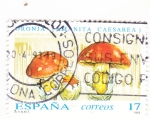 Sellos del Mundo : Europa : Espaa : SETAS (36)