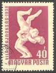 Stamps Hungary -  1259 - Campeonato europeo de deportes