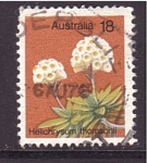 Sellos de Oceania - Australia -  Flores silvestres