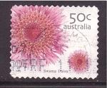 Stamps Australia -  Margarita del pantano