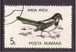 Stamps Romania -  serie- Fauna local