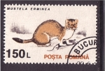 Stamps Romania -  serie- Fauna local