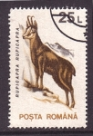 Stamps Romania -  serie- Fauna local