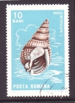 Stamps Romania -  Nassa reticulata