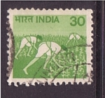 Stamps India -  Cultivo del maìz